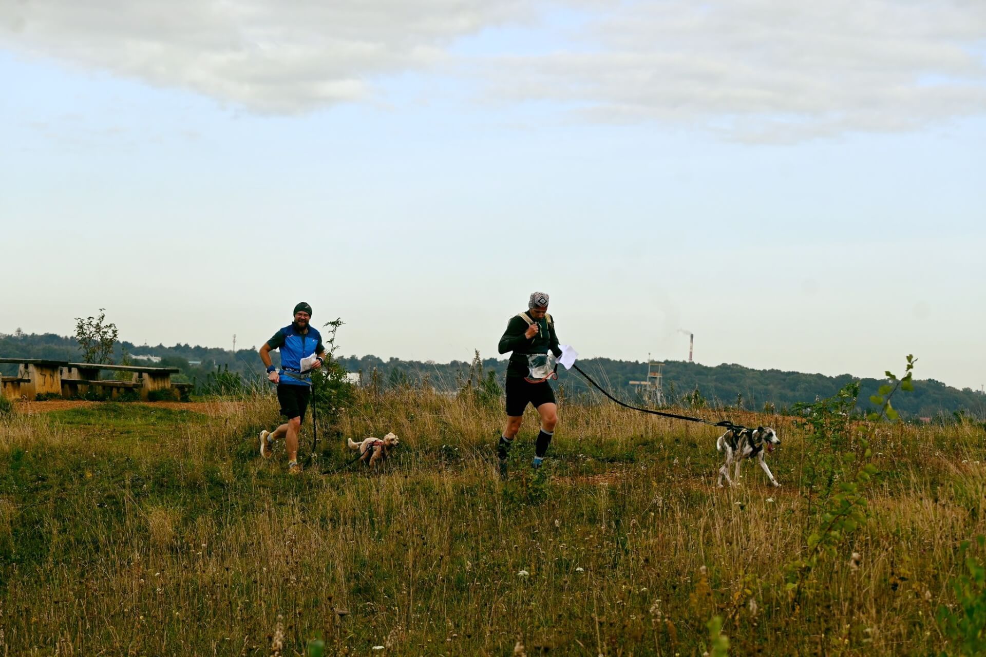 Tarnogórski Dogtrekking 2025