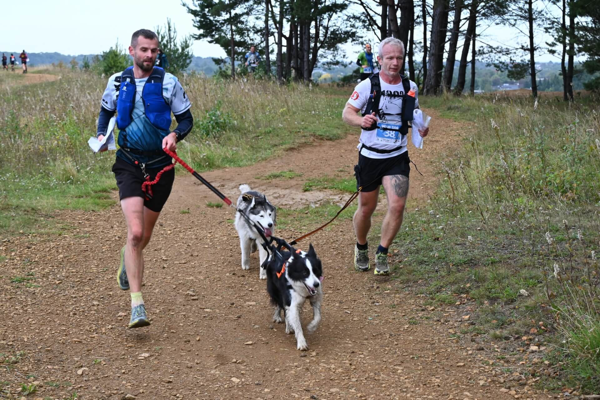 Tarnogórski Dogtrekking 2025