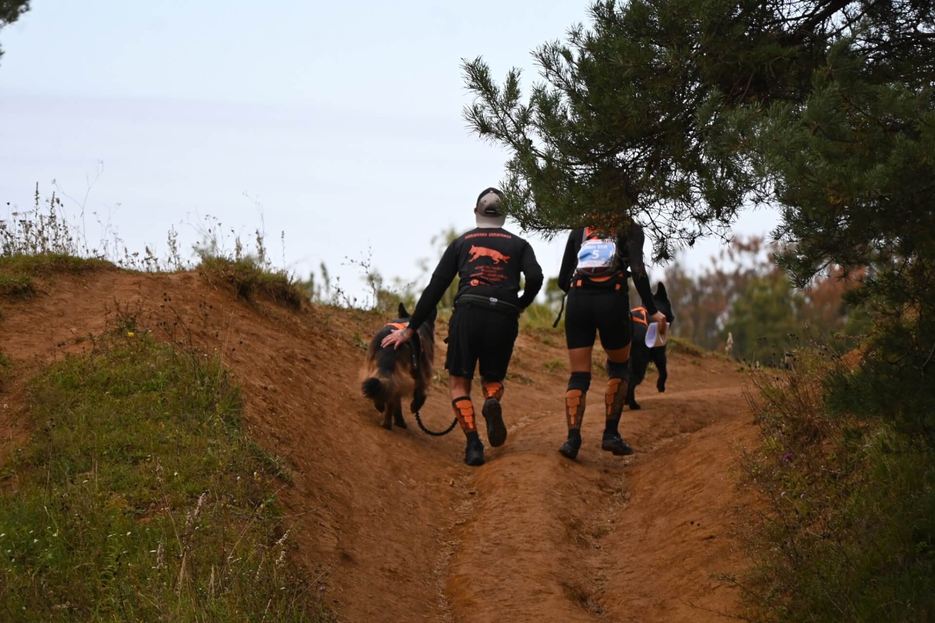 Tarnogórski Dogtrekking 2025