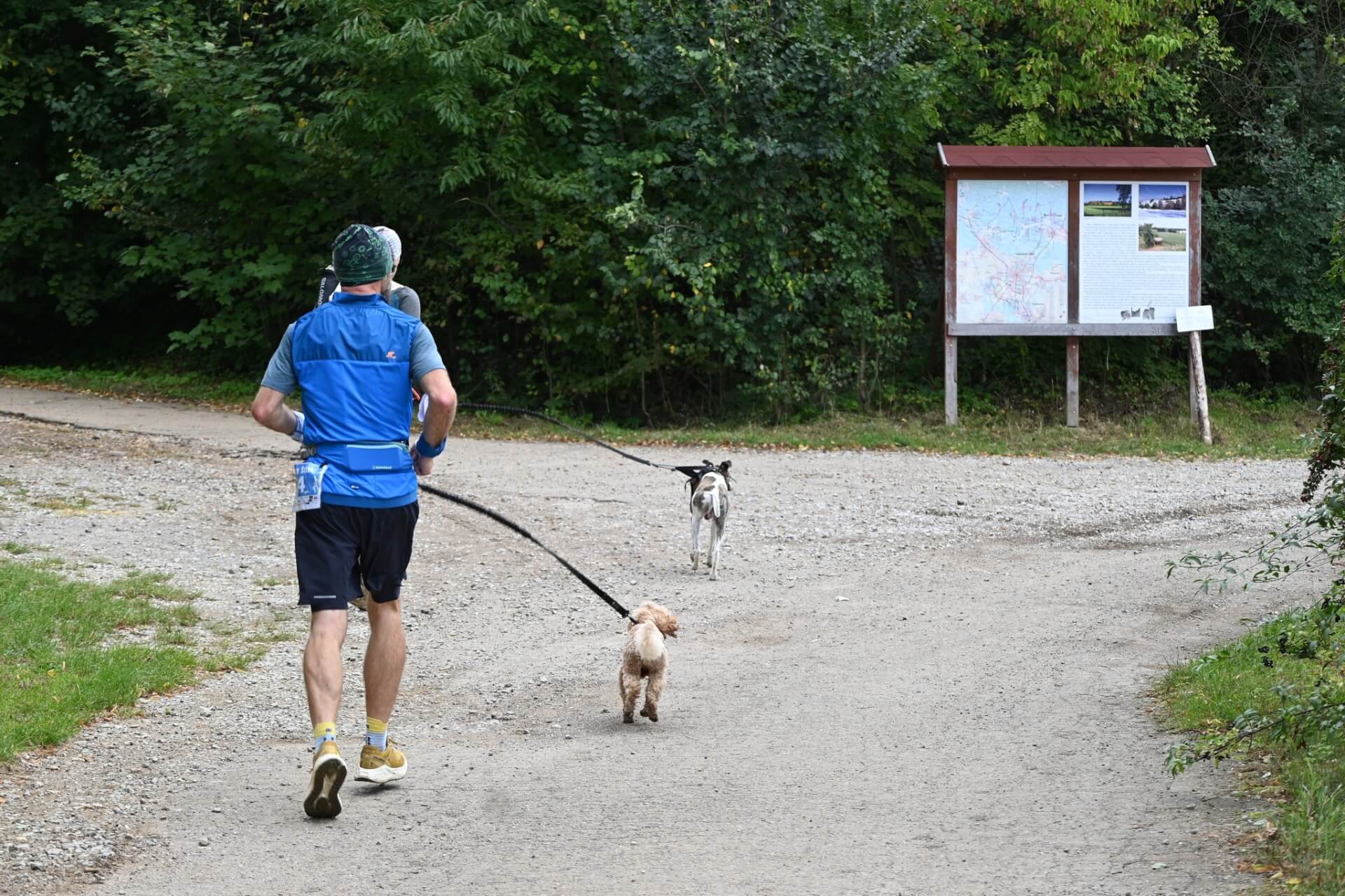 Tarnogórski Dogtrekking 2025