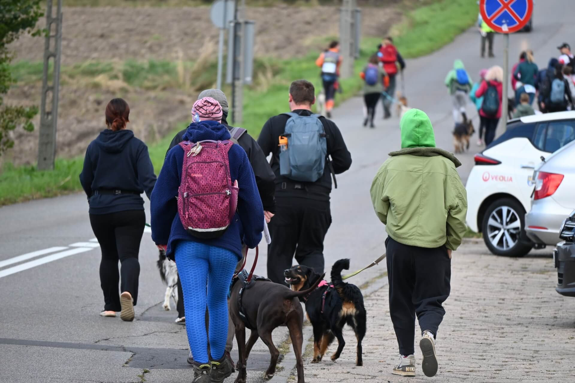 Tarnogórski Dogtrekking 2025