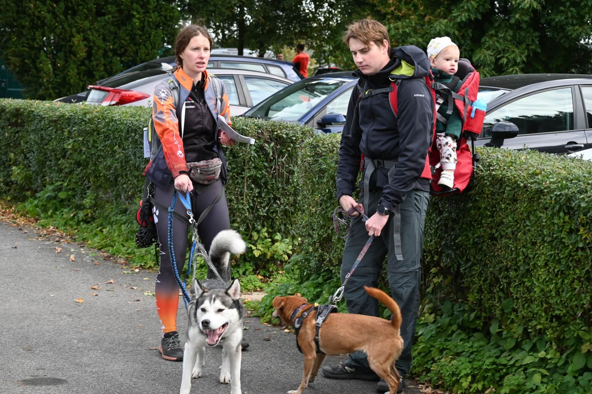 Tarnogórski Dogtrekking 2025