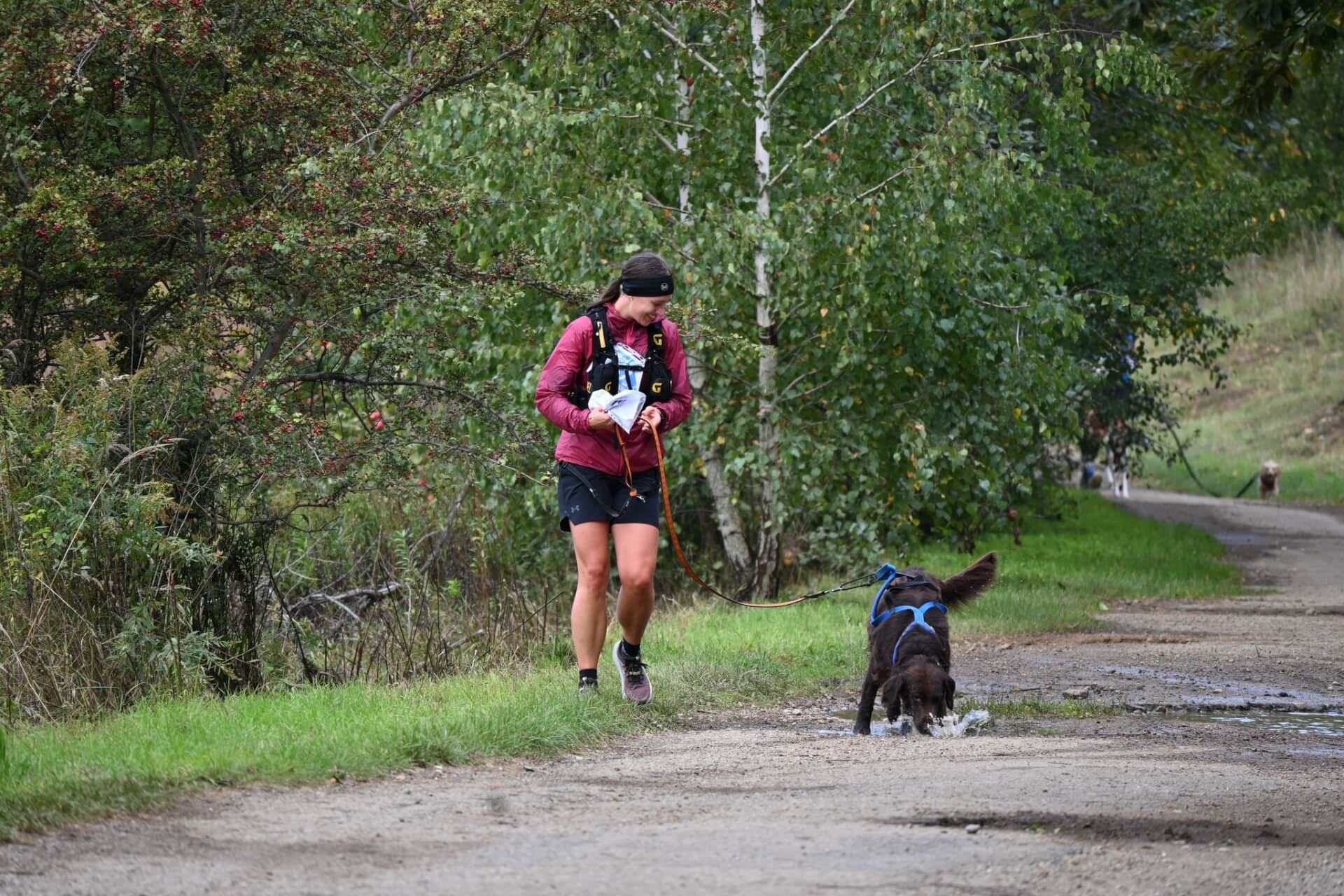Tarnogórski Dogtrekking 2025