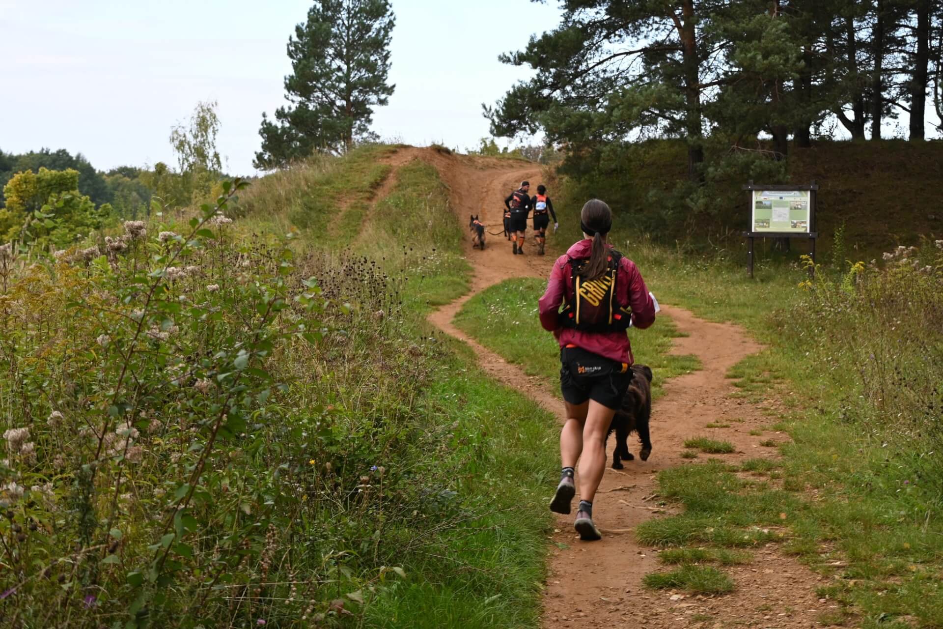 Tarnogórski Dogtrekking 2025