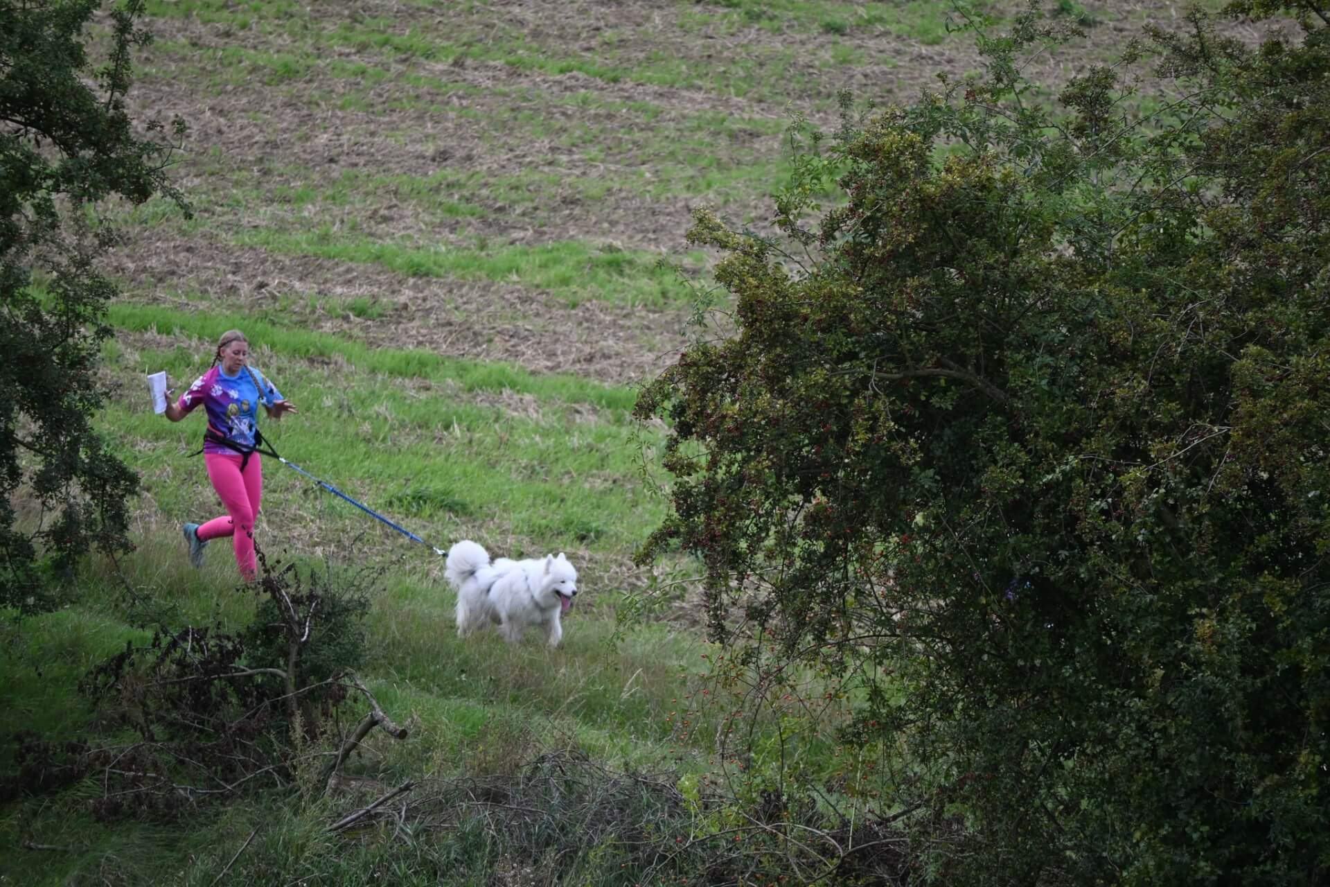 Tarnogórski Dogtrekking 2025