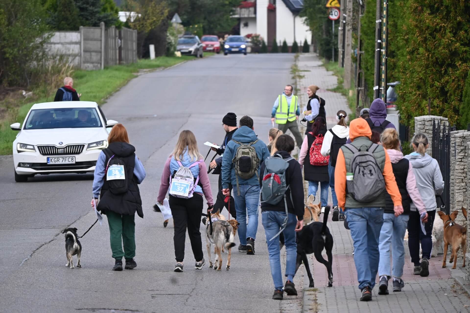Tarnogórski Dogtrekking 2025