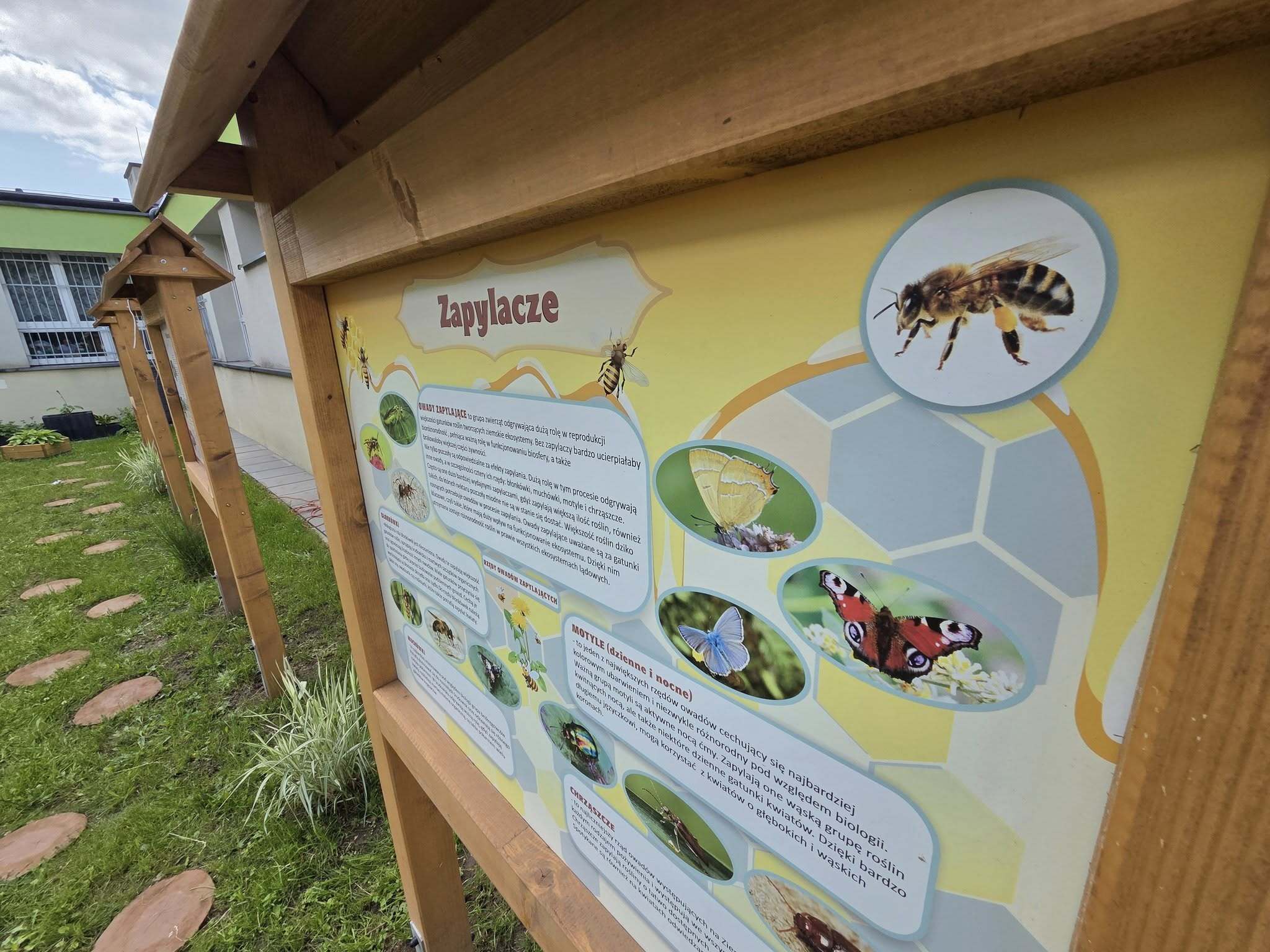 Ekopracownia pod chmurką w SP nr 10 w Tarnowskich Górach