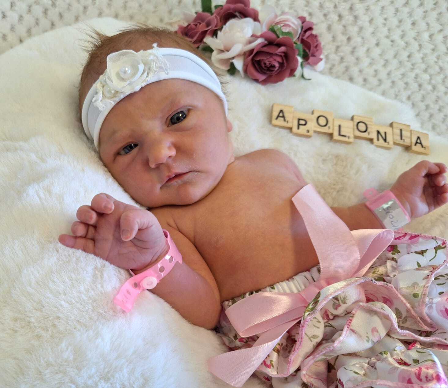 Apolonia