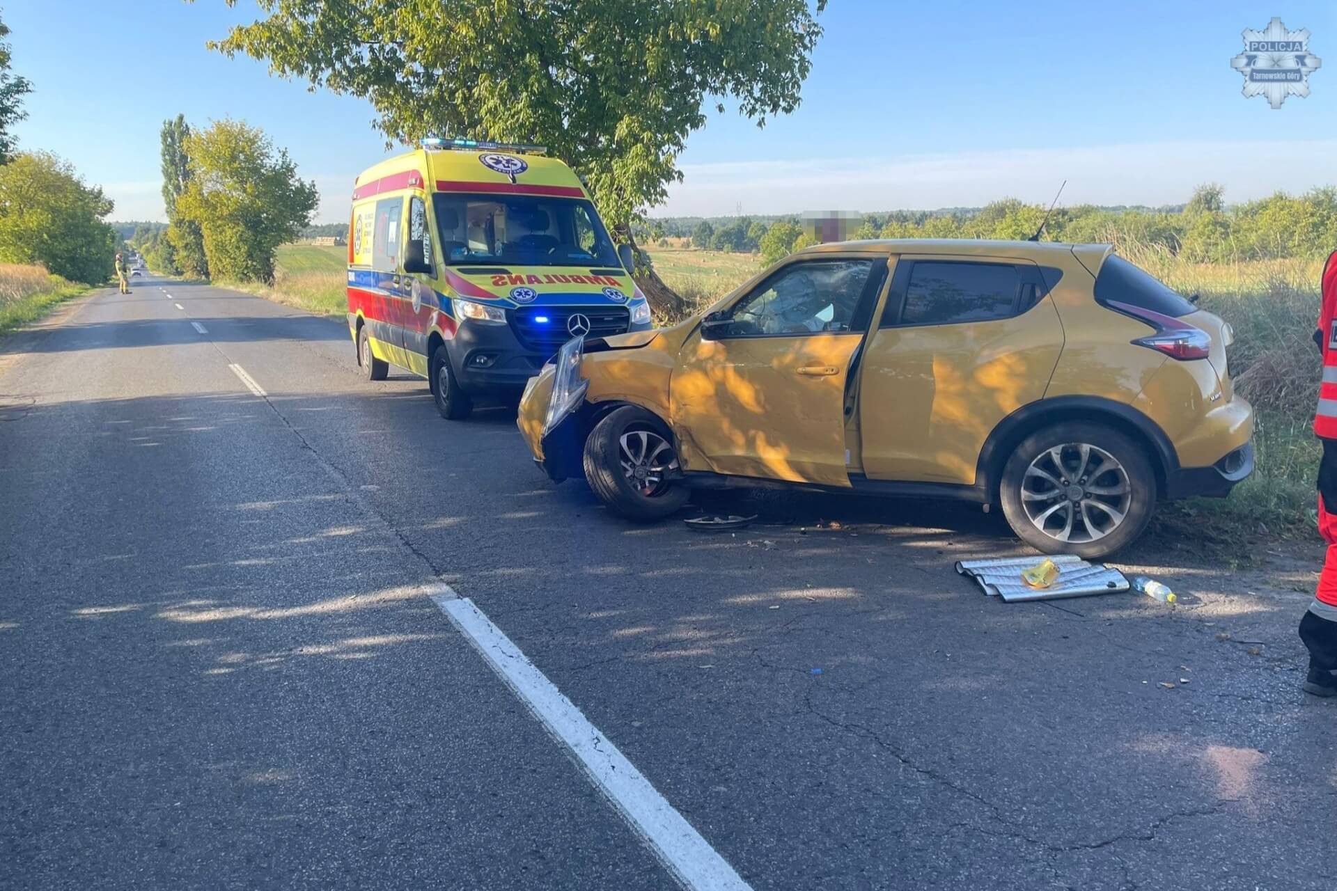 Zdarzenie drogowe w Ptakowicach